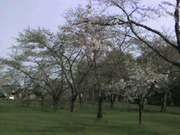 20070516-01.jpg