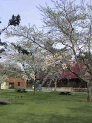 20070516-02.jpg