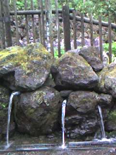070519_0711~001.jpg