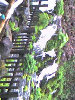 070519_0712~001.jpg