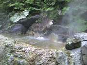 20070522-01.jpg