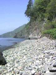 20070527-02.jpg