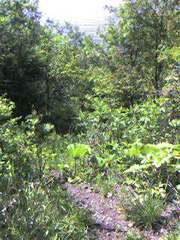 20070527-03.jpg