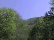 20070527-04.jpg