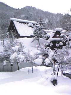 080103_1245~001.jpg