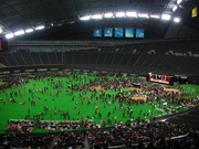 20080121-01.JPG