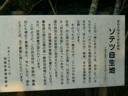20081004-01.jpg