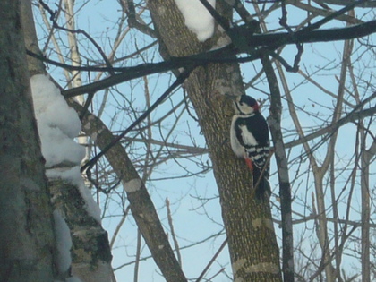 20100104-01.JPG