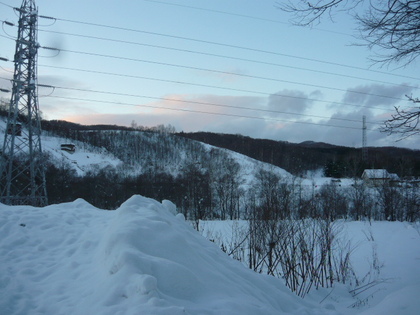 20100110-02.JPG