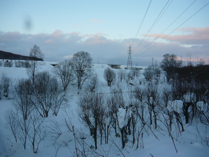 20100110-03.JPG
