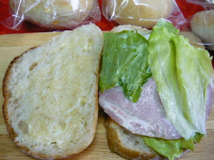 20100112-01.JPG