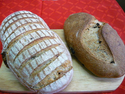 20100115-00.JPG