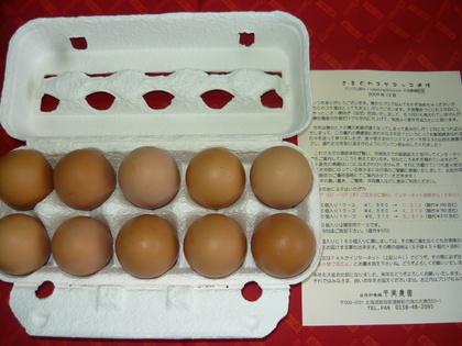 20100115-02.JPG