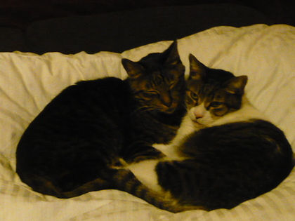 20100119-00.JPG