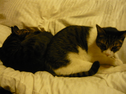 20100119-01.JPG