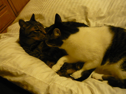 20100119-02.JPG