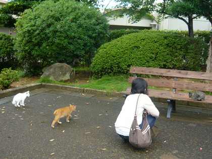 20100122-05.JPG