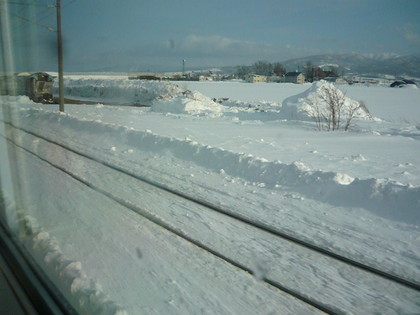 20100131-05.JPG