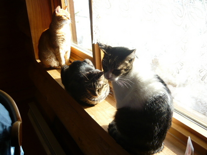 20100403-02.JPG