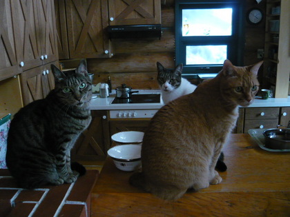20100403-04.JPG