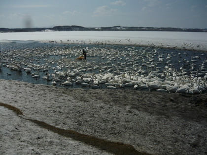 20100404-00.JPG