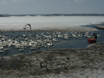 20100404-02.JPG