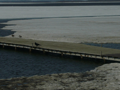 20100404-04.JPG
