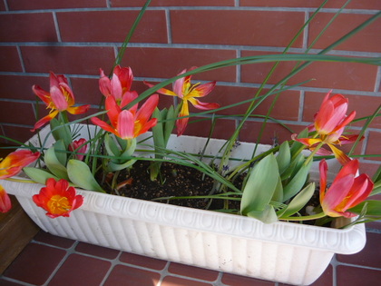 20100409-00.JPG