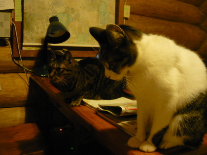20100409-05.JPG