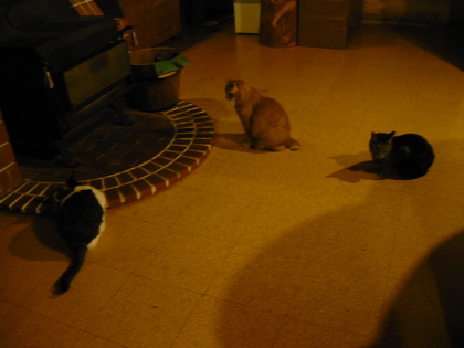 20100409-06.JPG