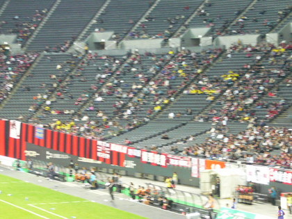 20100411-02.JPG