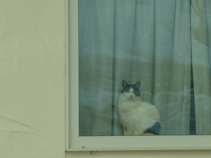 20100413-00.JPG