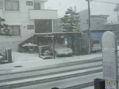 20100414-00.JPG