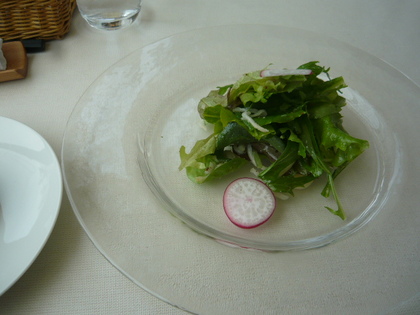 20100416-00.JPG
