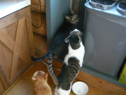 20100417-00.JPG