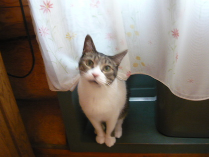 20100417-02.JPG