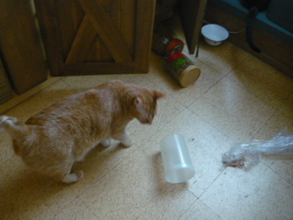 20100418-01.JPG