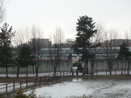 20100419-01.JPG