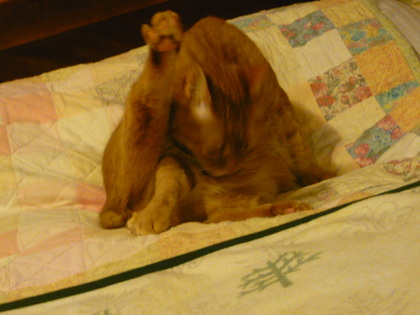 20100421-00.JPG
