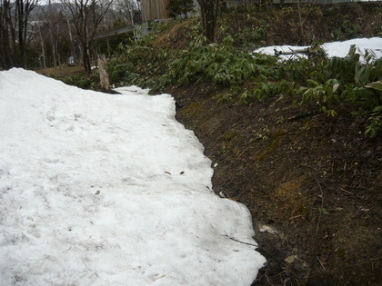 20100424-00.JPG