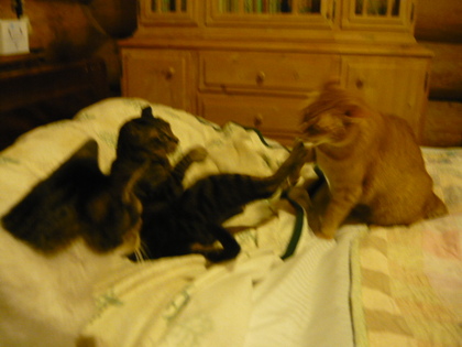 20100427-00.JPG