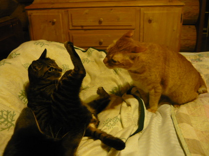 20100427-01.JPG