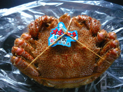 20100429-01.JPG
