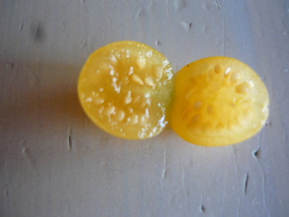 20100904-04.JPG