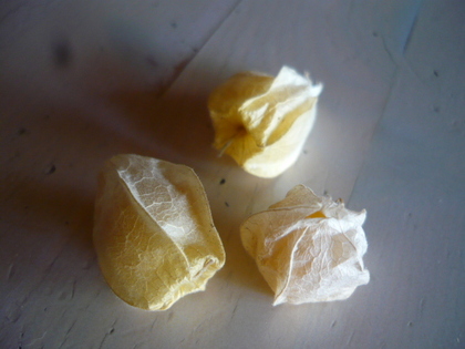 20100904-05.JPG