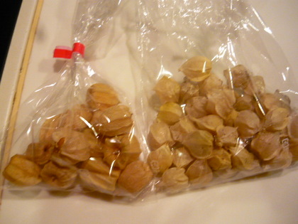 20100904-06.JPG