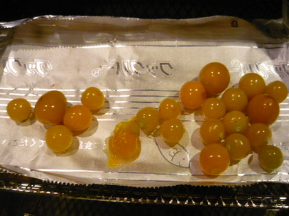 20100904-07.JPG