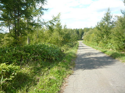20100924-00.JPG