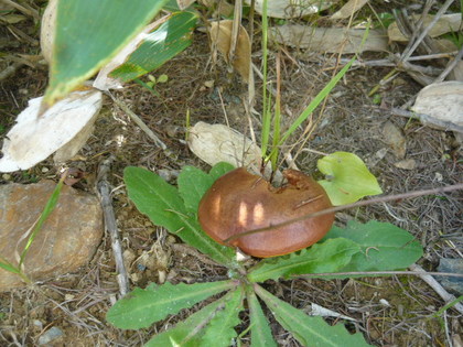 20100924-01.JPG