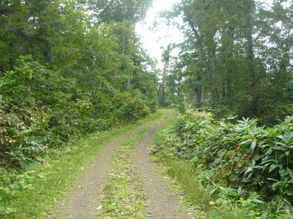 20100924-02.JPG